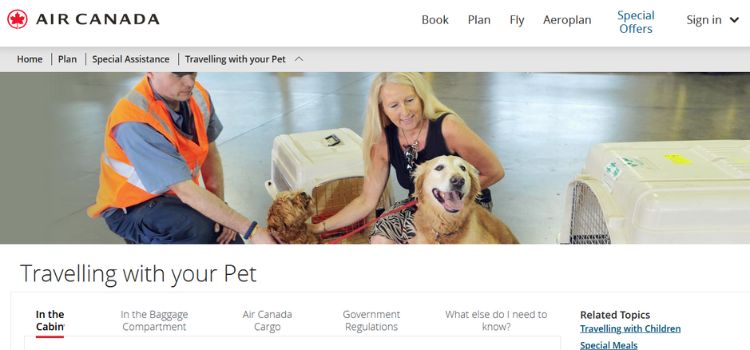 Best International Airlines For Pets