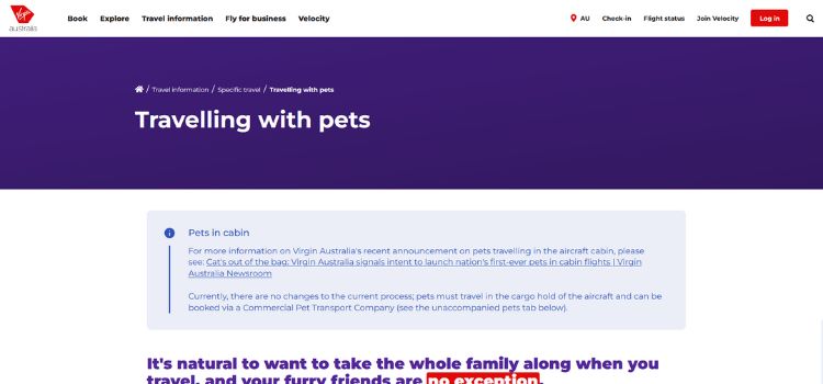 Best International Airlines For Pets