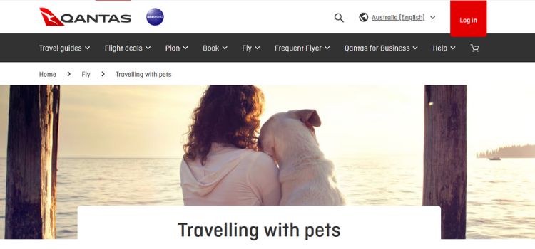 Best International Airlines For Pets