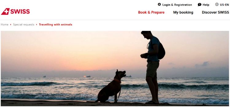 Best International Airlines For Pets