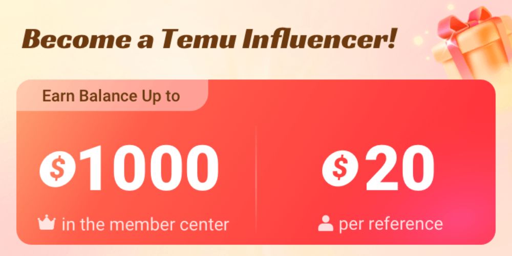 Temu Influencer Program