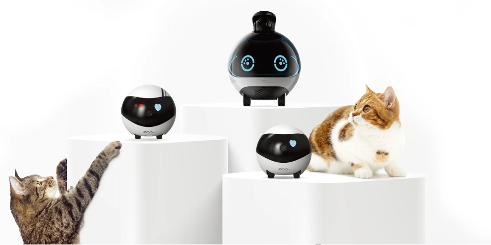 Choosing the Right Robot Toy for Cats