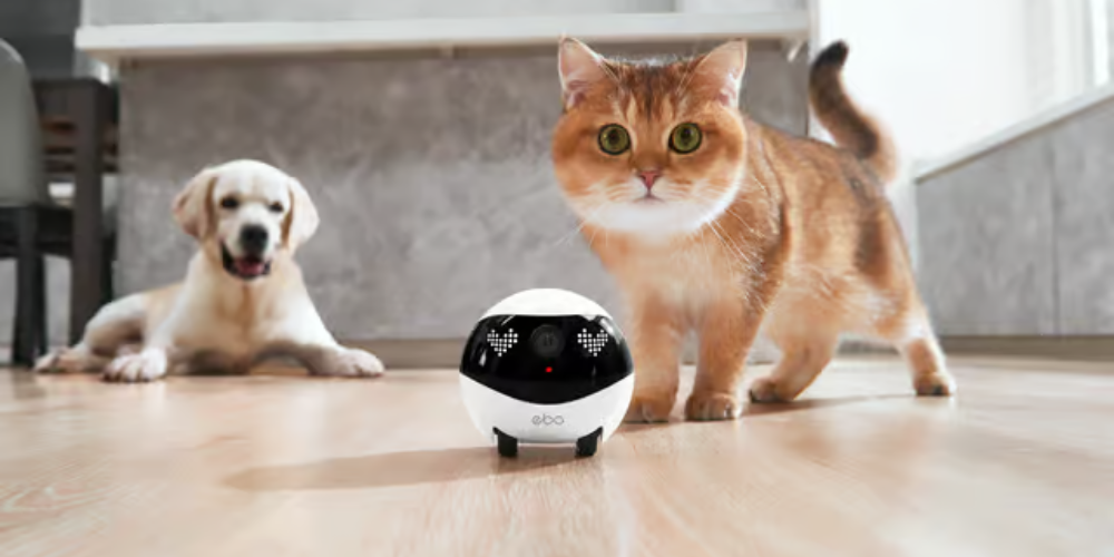 Ebo Air Pet Robot Movable Camera