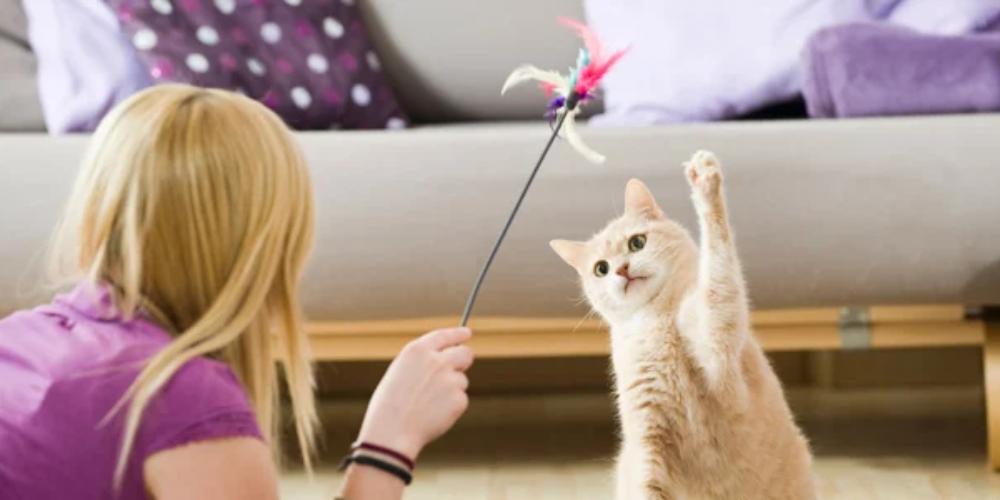 Health Benefits Beyond the Physical