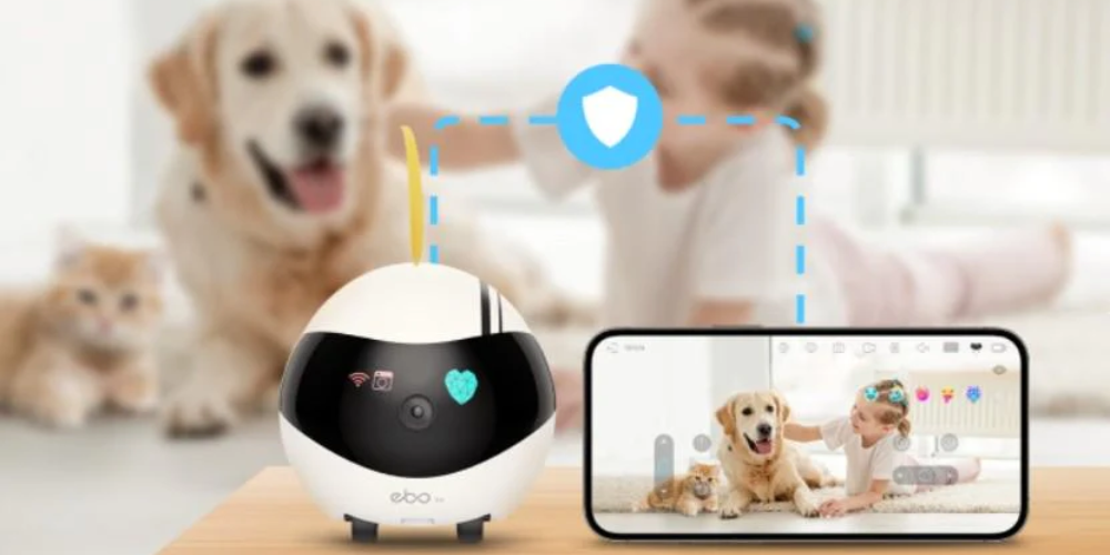 The Purpose Behind the Ebo Robot