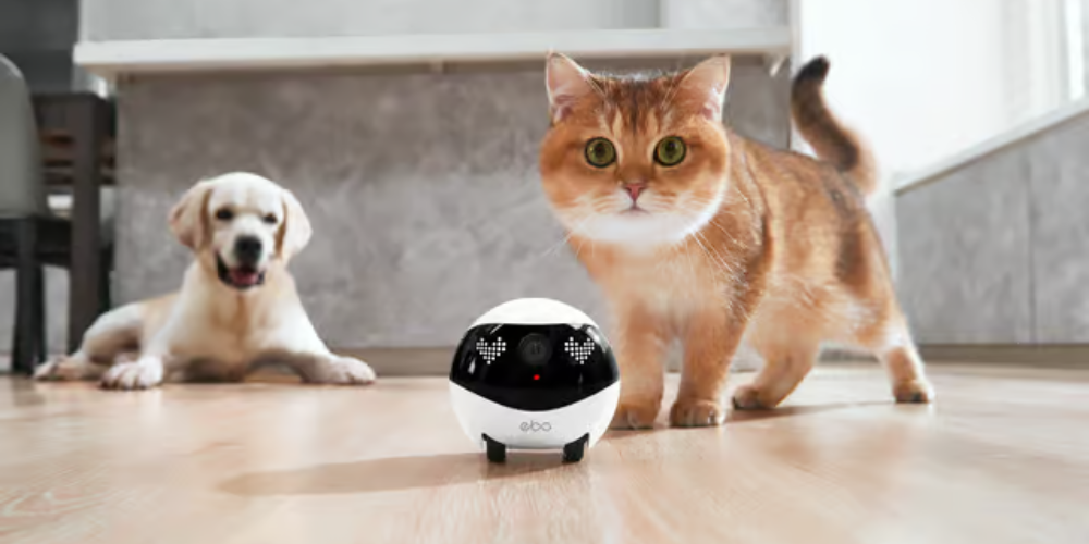 What Is a Smart Companion Robot for Pets?